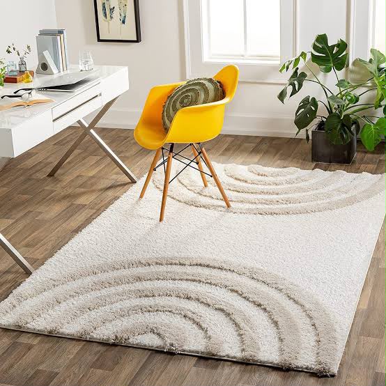 Shaggy Rugs